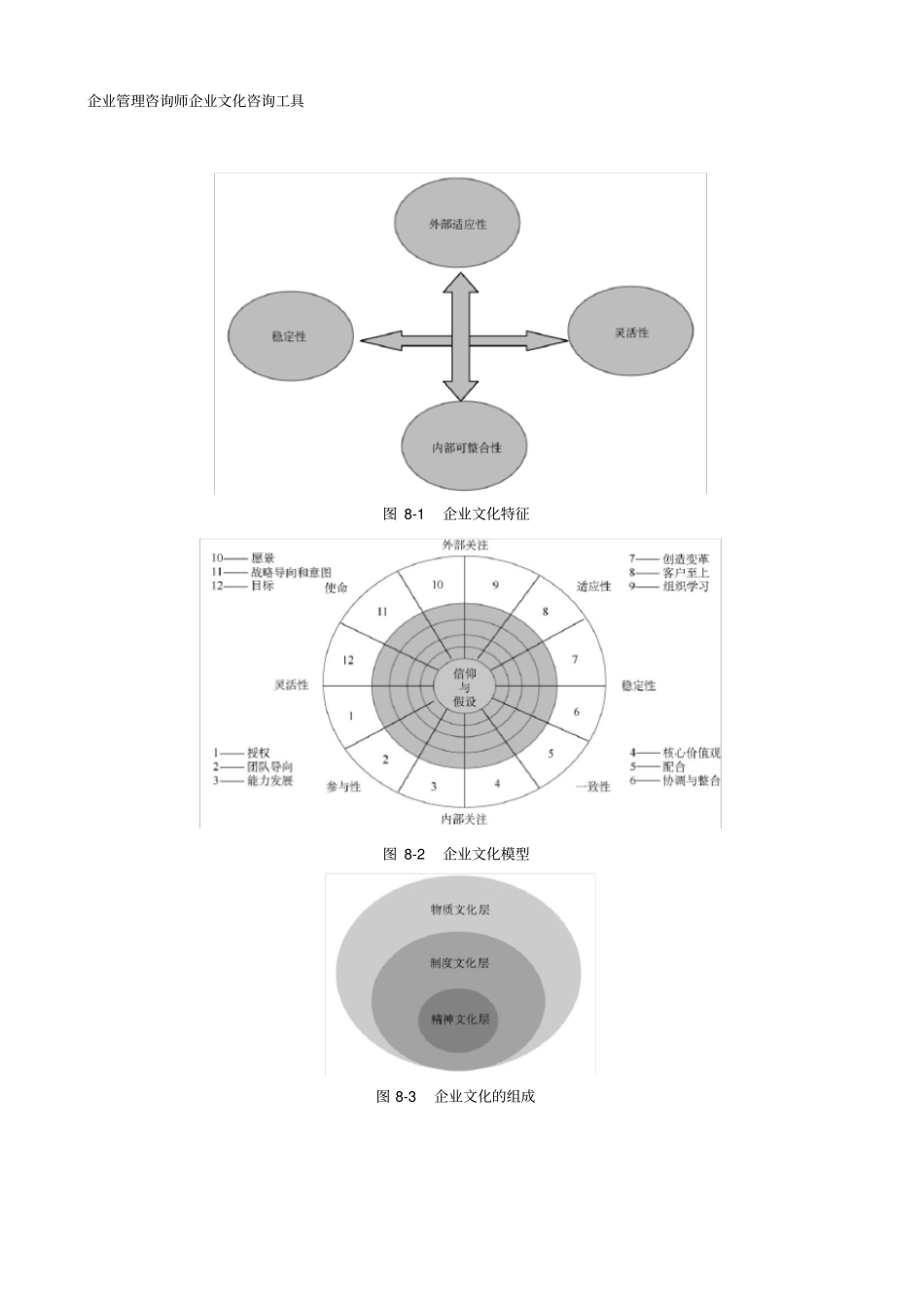 企业管理咨询师企业文化咨询工具_第1页