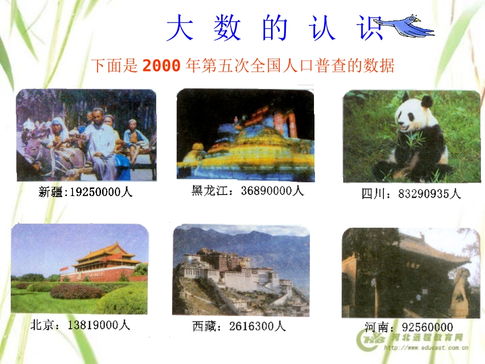 大数的认识 (2)_第2页