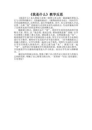 我是什么教学反思