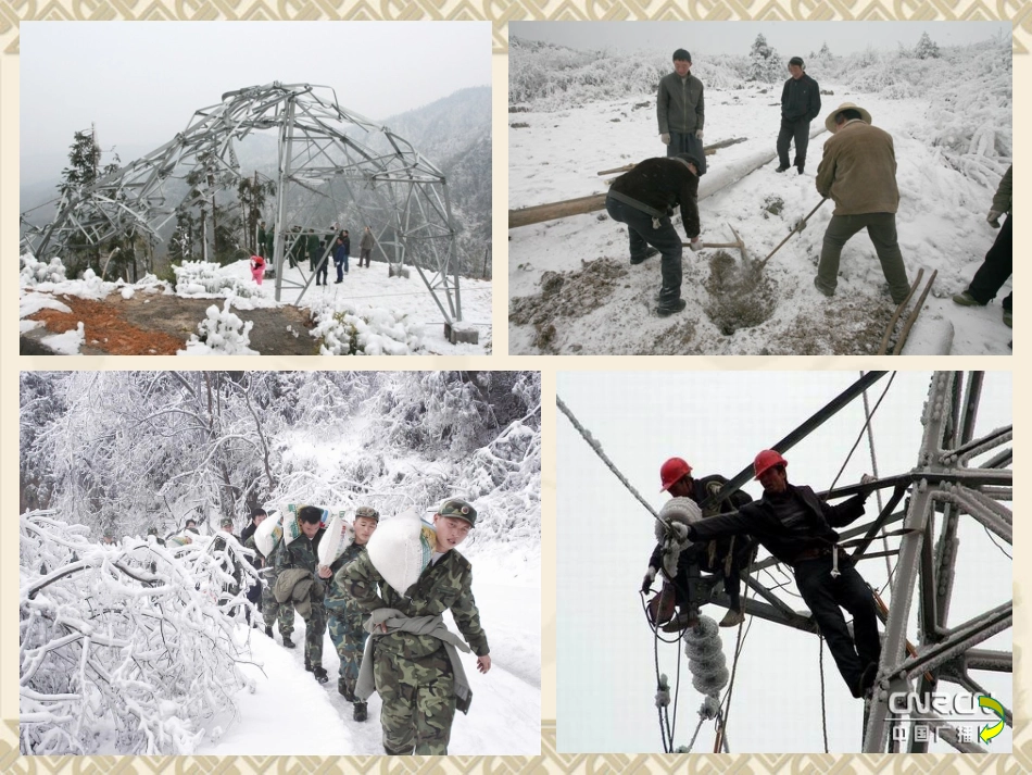 【精品课件】第四单元第三节团结就是力量_第3页