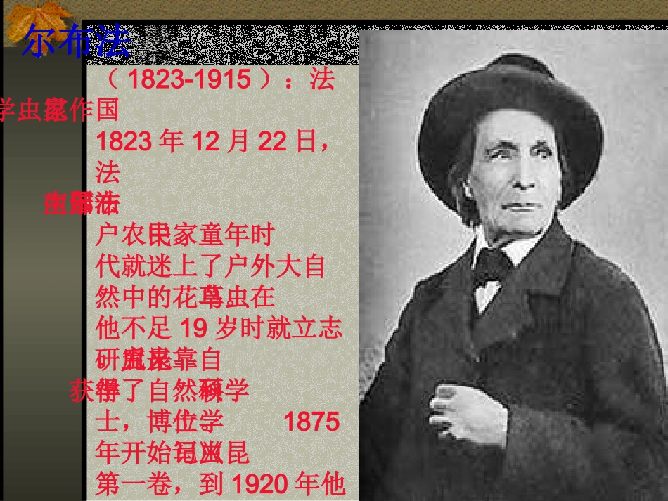 《绿色蝈蝈》课件_第3页