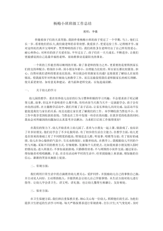 杨梅小班班级工作总结