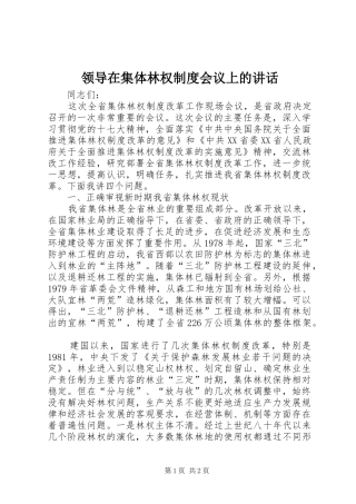 领导在集体林权制度会议上的讲话发言
