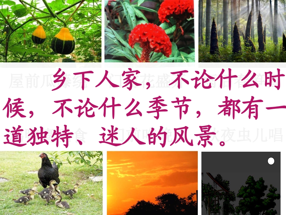 四下—乡下人家_第3页