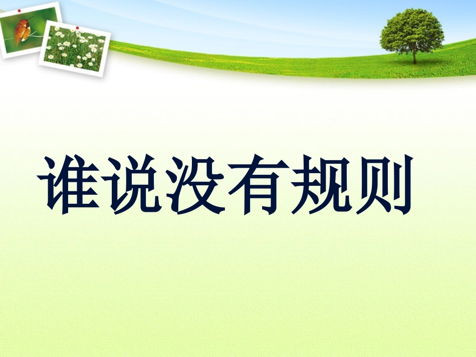 《谁说没有规则》课件 (2)_第1页