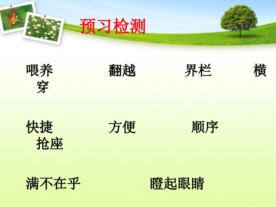 《谁说没有规则》课件 (2)_第2页