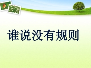 《谁说没有规则》课件 (2)