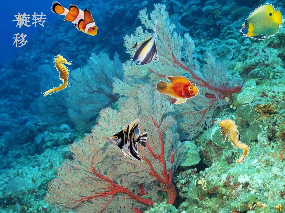 平移和旋转 (7)_第2页