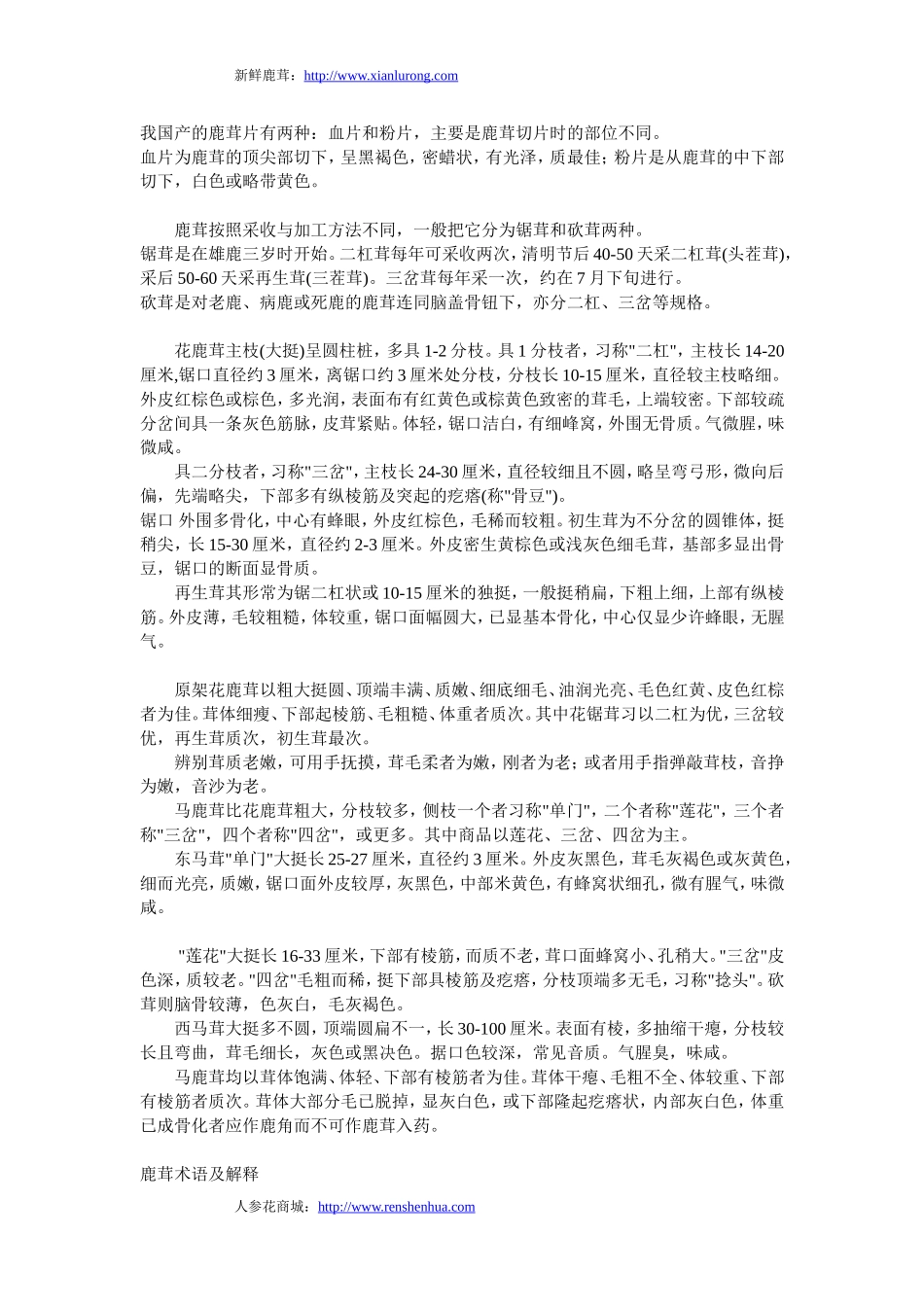 鹿茸的相关术语_第1页