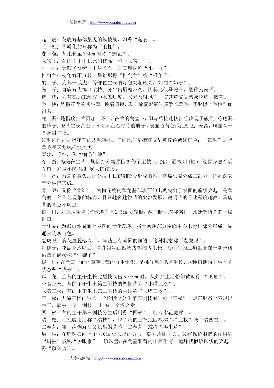 鹿茸的相关术语_第2页