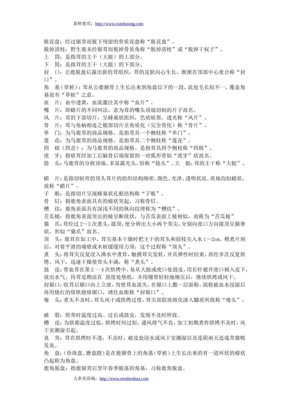 鹿茸的相关术语_第3页