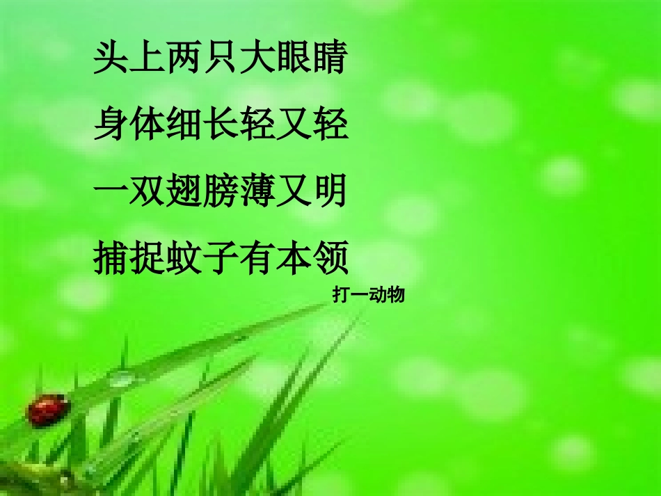 人音版一年级上册小蜻蜓_第2页