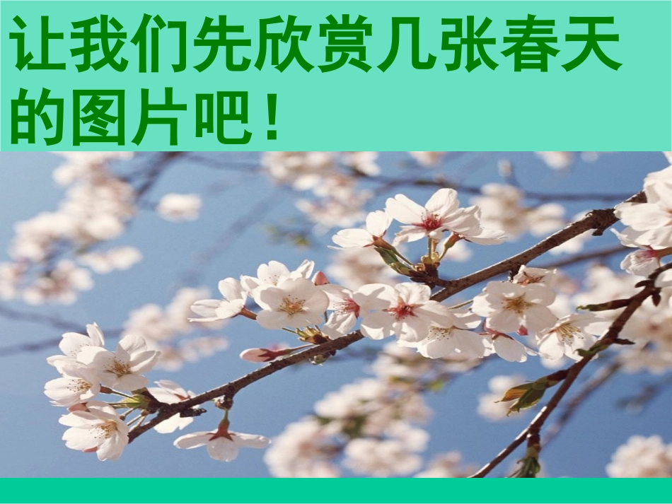 《燕子》课件1_第2页