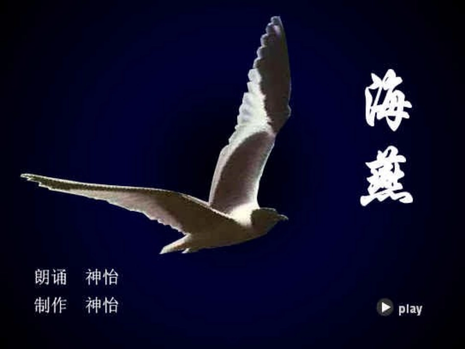 新人教版语文八年级下册海燕_第3页