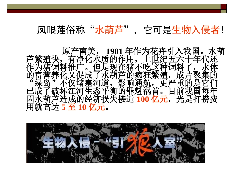 七年级语文生物入侵者_第3页
