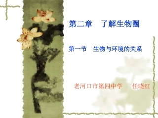 生物与环境的关系第课