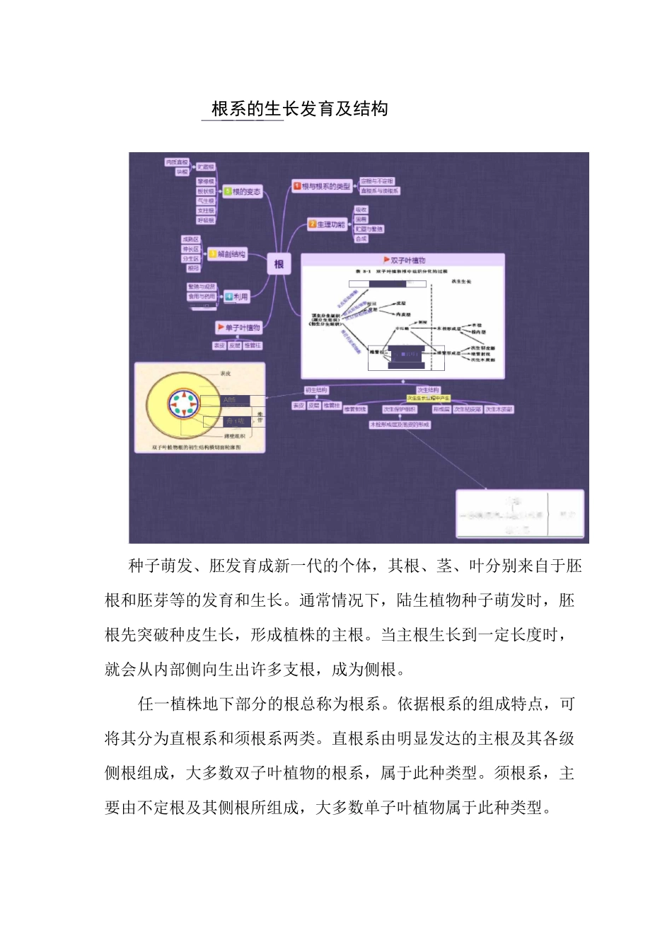植物的生长历程_第2页