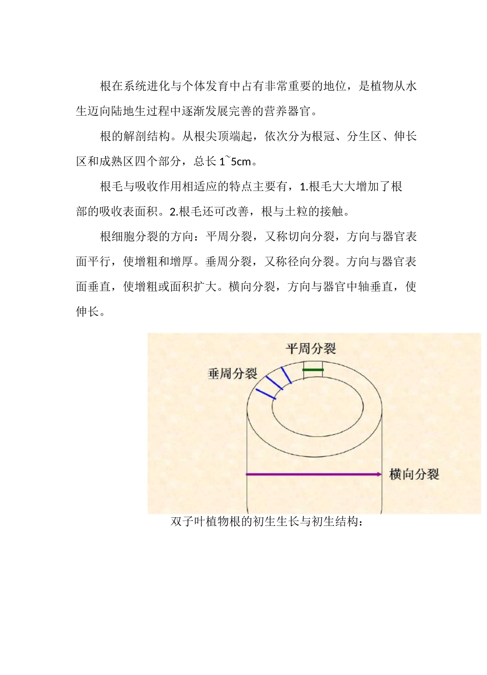 植物的生长历程_第3页