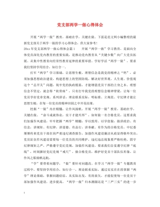 党支部两学一做心得体会 (000002)