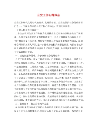 公安工作心得体会 
