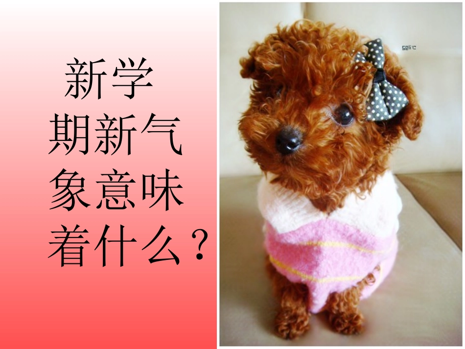 小学主题班会课件新学期新气象新目标_第2页