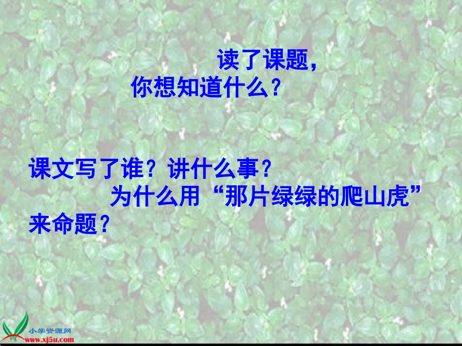 那片绿绿的爬山虎 (3)_第2页