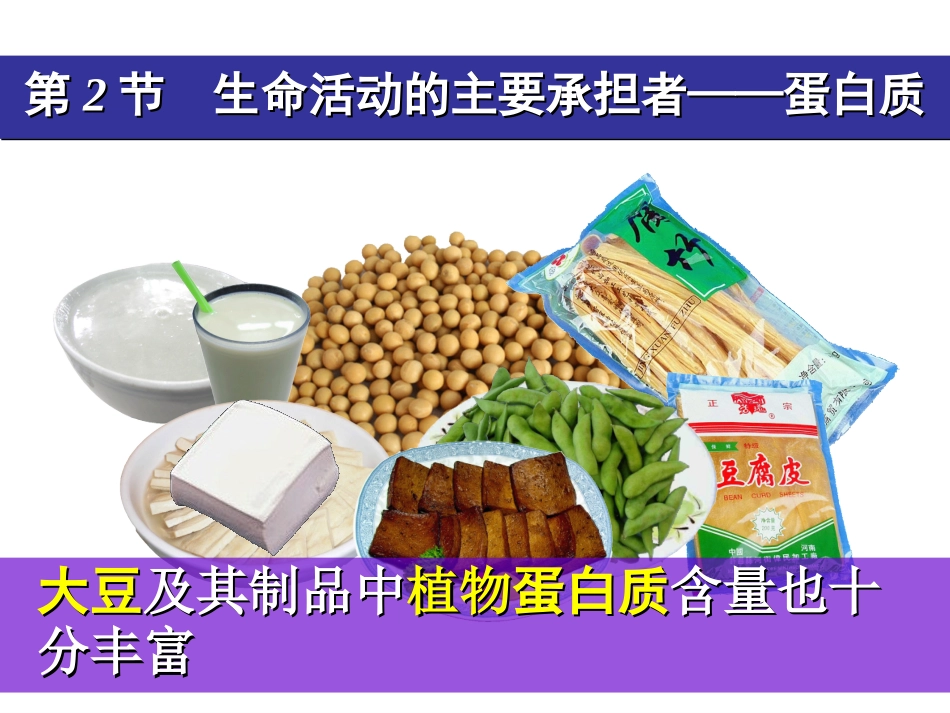 生命活动的主要承担者蛋白质_第2页