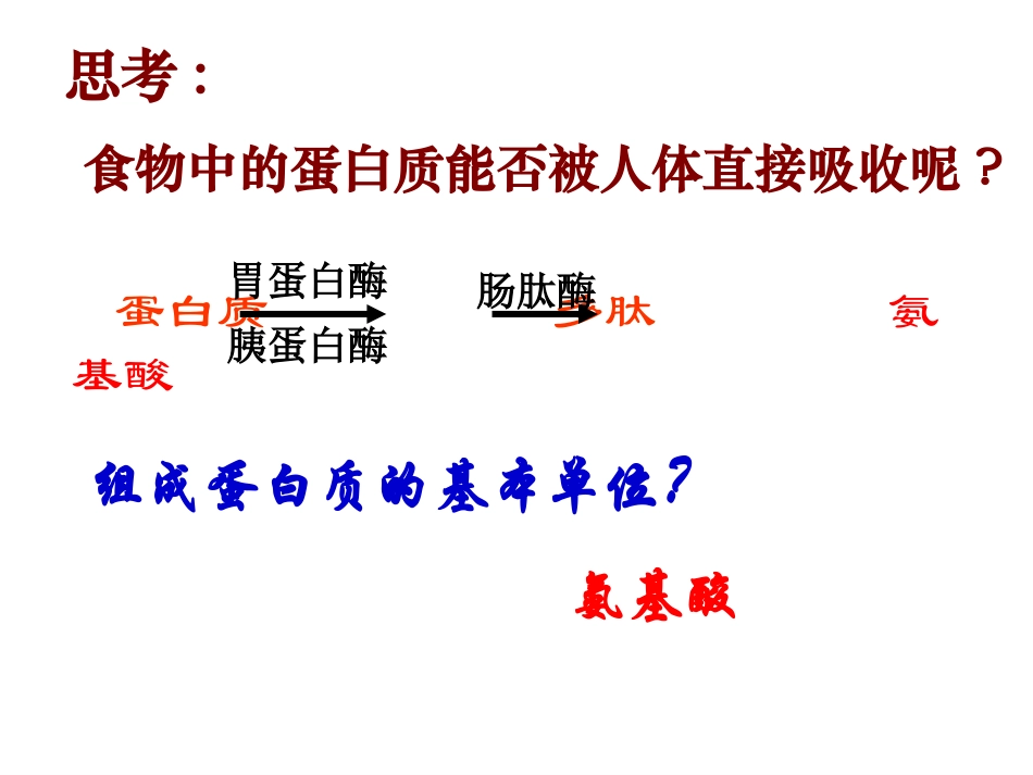 生命活动的主要承担者蛋白质_第3页