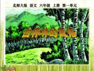 白桦林的低语