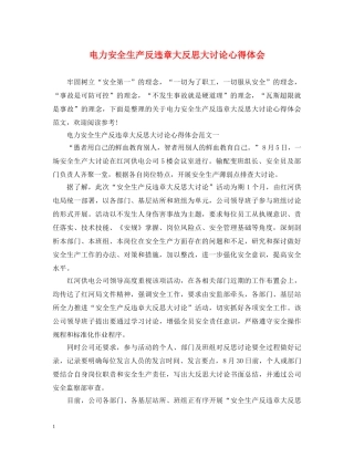 电力安全生产反违章大反思大讨论心得体会 