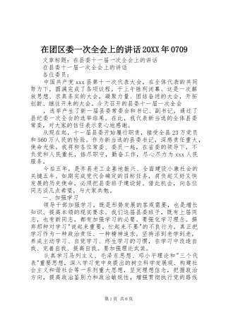 在团区委一次全会上的讲话发言20XX年0709(4)