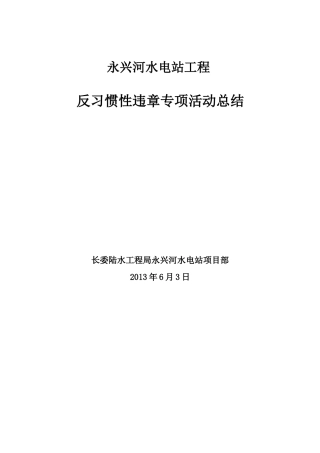 水电站反习惯性违章专项活动总结