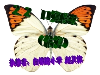 口算除法(估算)