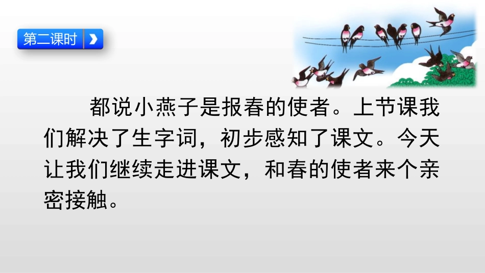 燕子第二课时课件_第1页