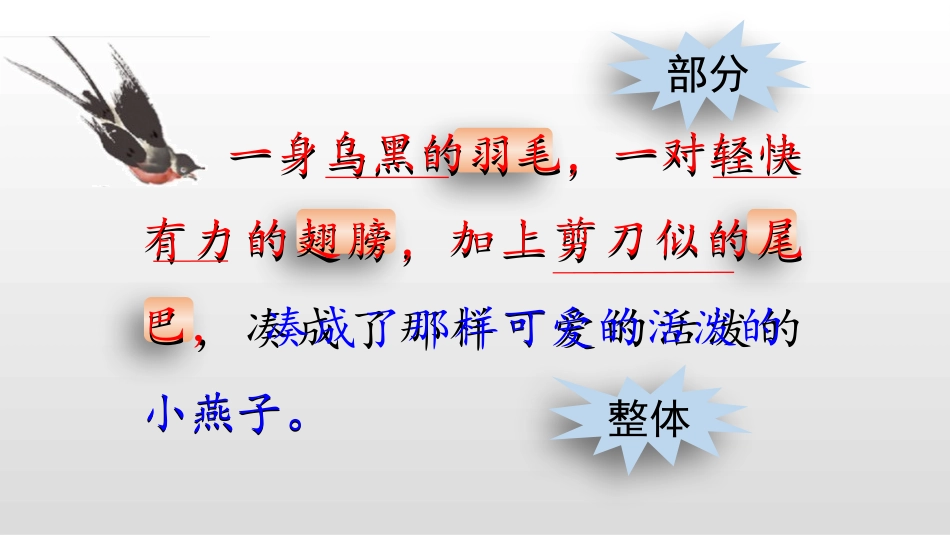燕子第二课时课件_第3页