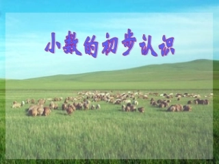 小数的初步认识 (2)