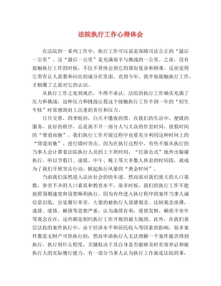 法院执行工作心得体会 