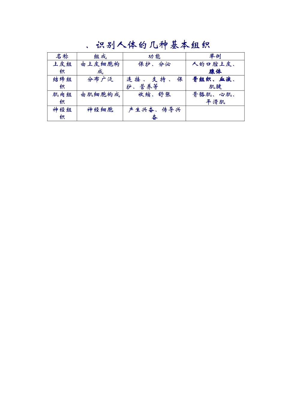 识别人体的几种基本组织_第1页