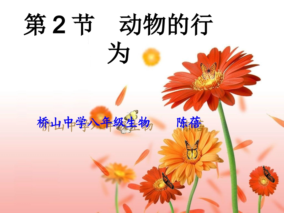 陈蓓八年级生物上册（172）课件_第1页