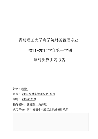 会计年终决算实习报告-