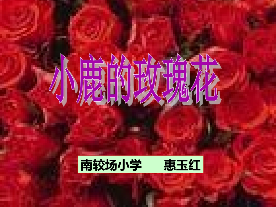 小鹿的玫瑰花课件_第1页