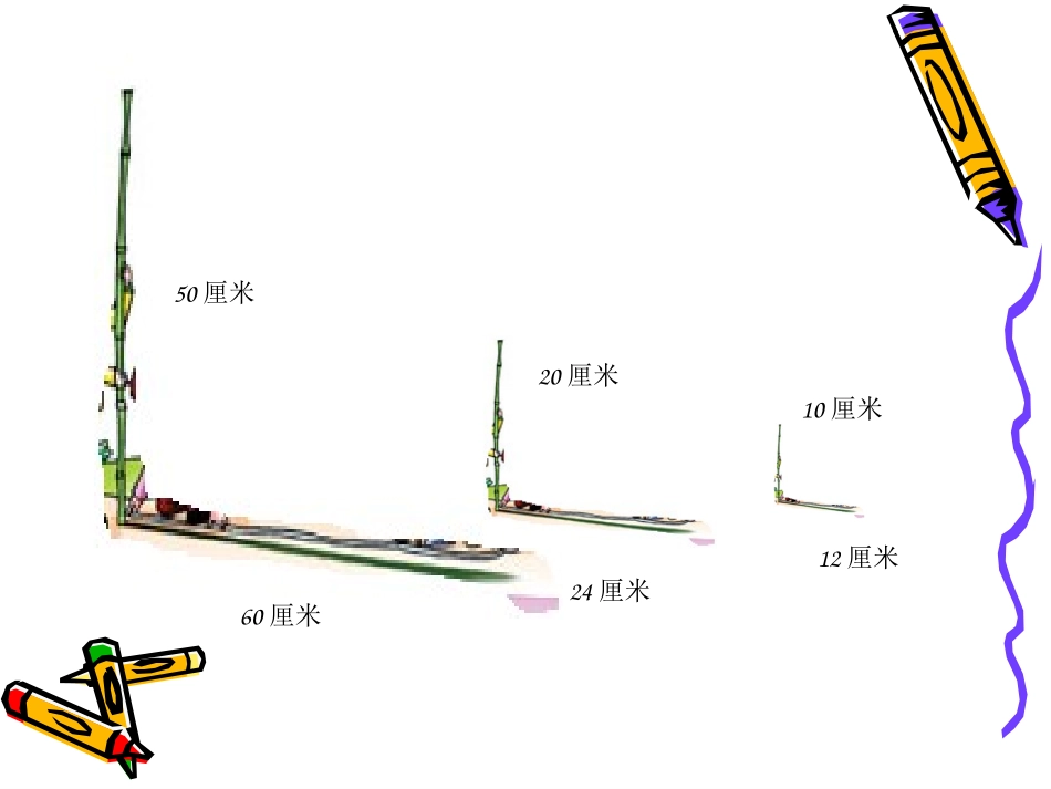大树有多高(2)_第3页