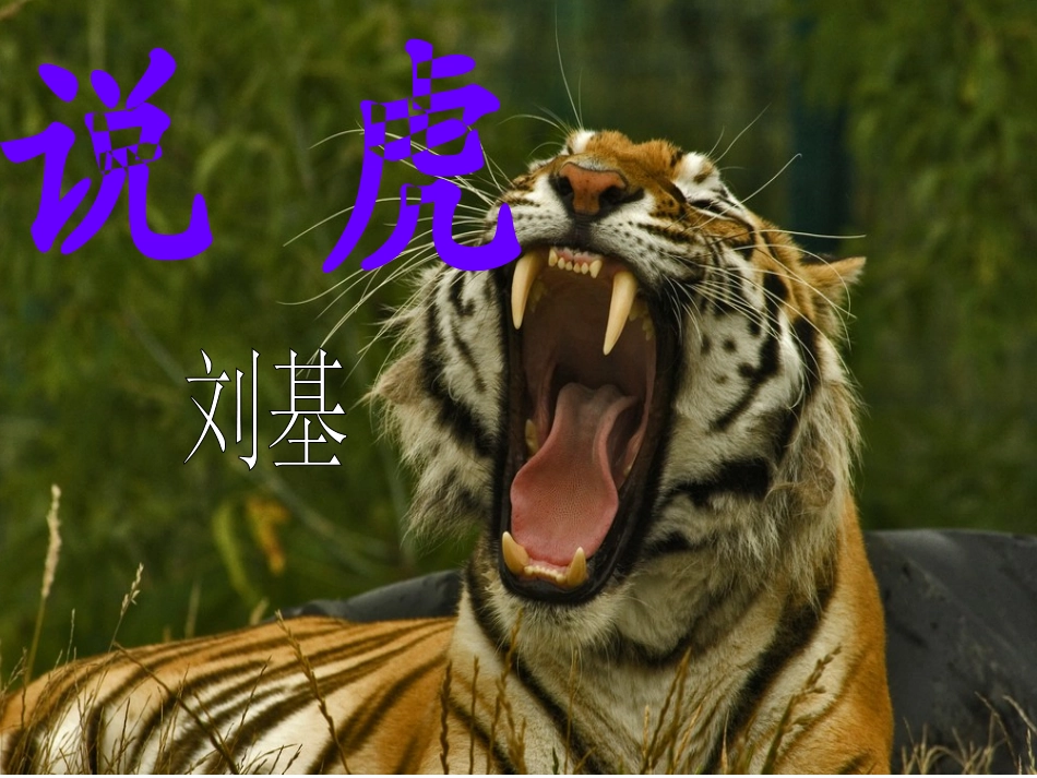 《说虎》PPT_第3页