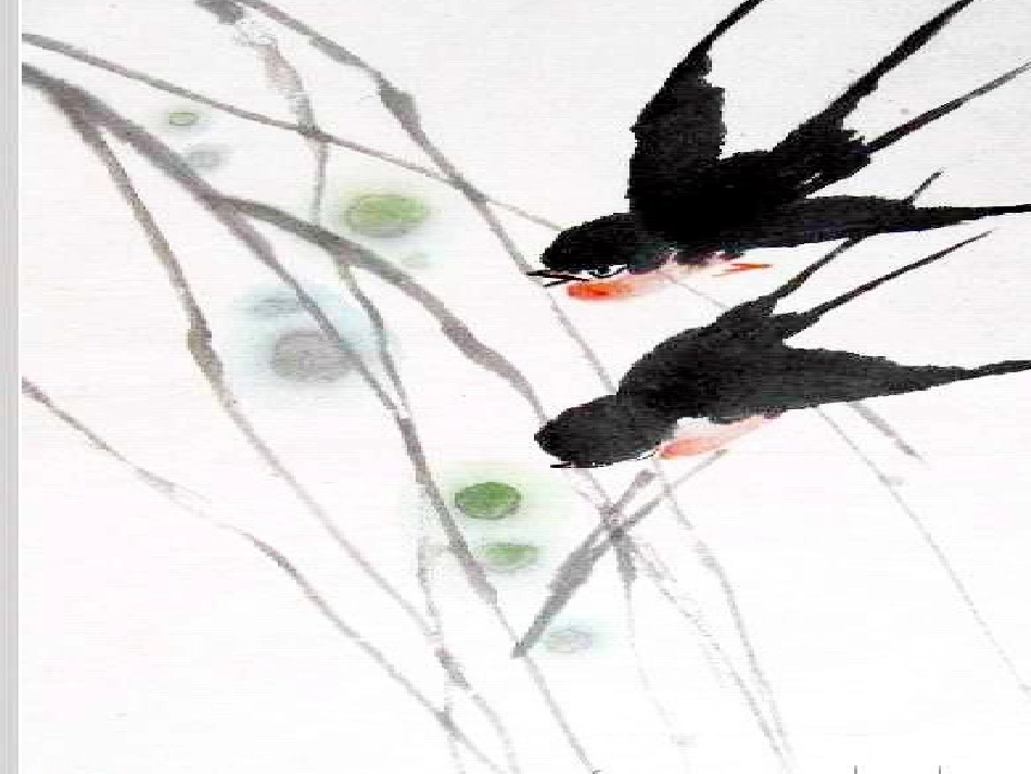 燕子教学课件_第3页