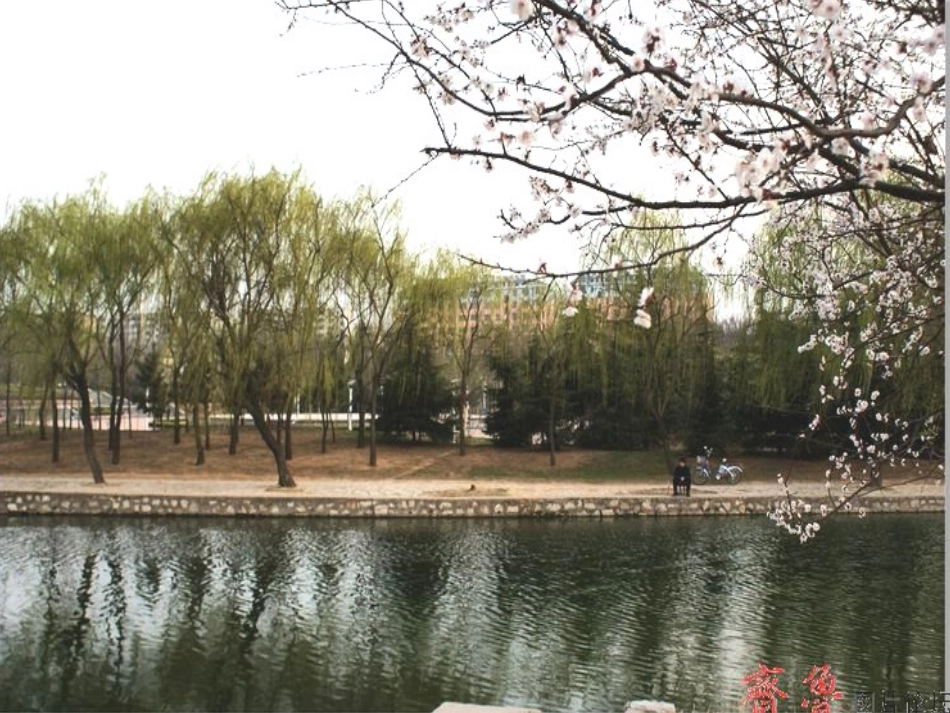 人教版二年级下册绝句课件_第3页