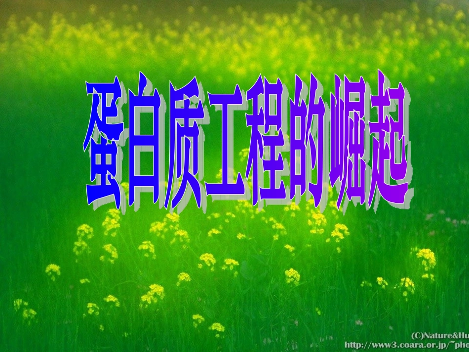 蛋白质工程的崛起：课件一(29张PPT)_第1页