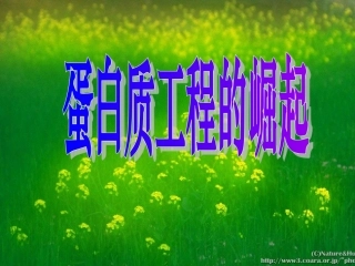 蛋白质工程的崛起：课件一(29张PPT)