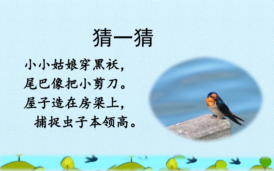 燕子 教学课件_第3页