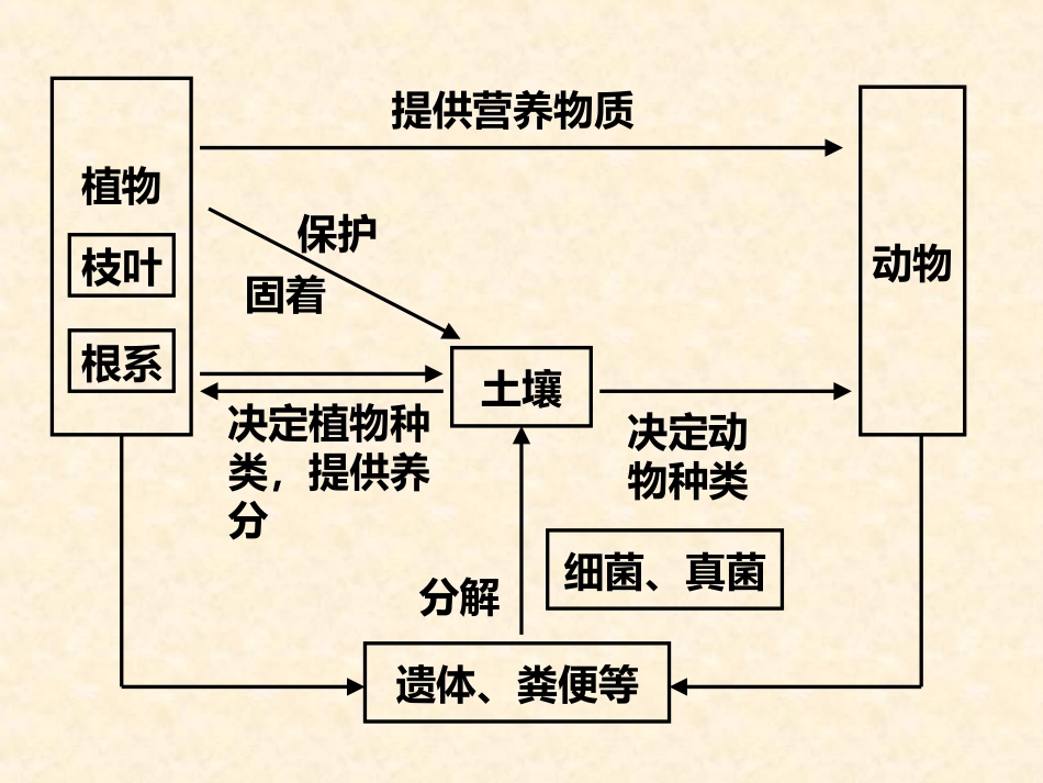 生态系统的结构 _第2页