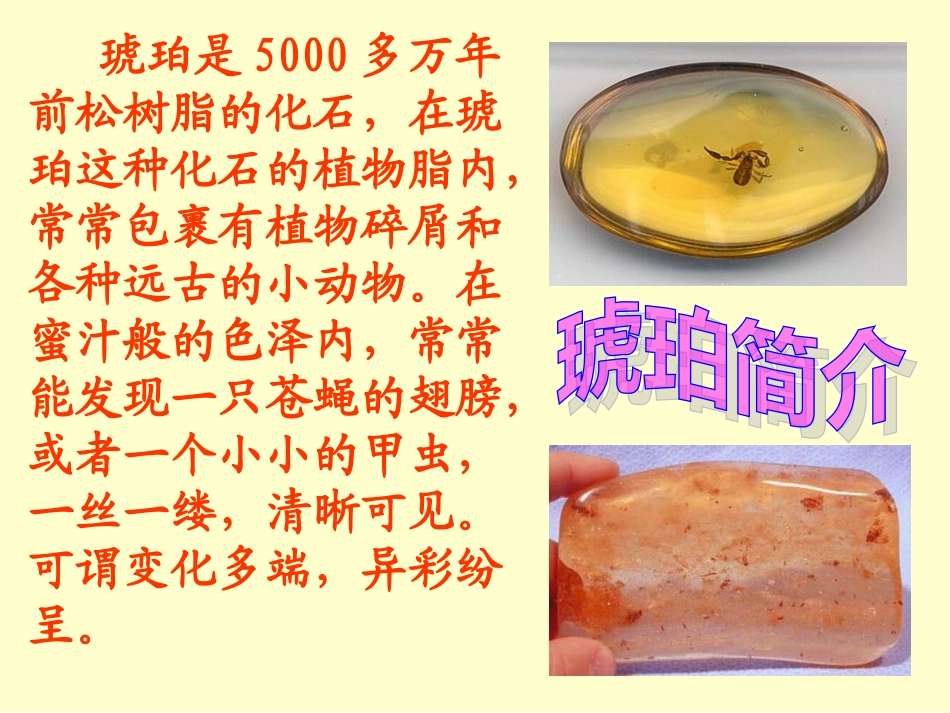 北师大版六年级下册《琥珀》课件_第2页